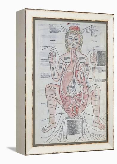 The Anatomy of the Pregnant Woman, Illustration from 'Fasciculus Medicinae' by Johannes De Ketham-Italian School-Framed Premier Image Canvas