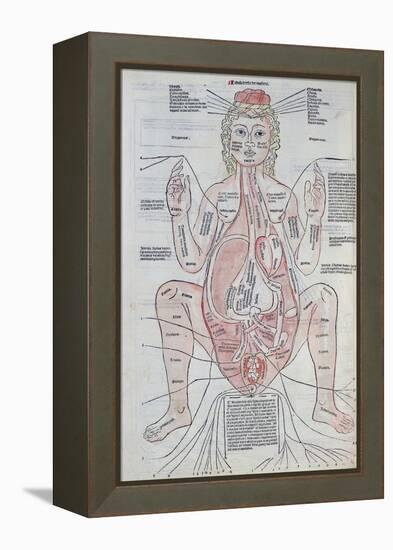 The Anatomy of the Pregnant Woman, Illustration from 'Fasciculus Medicinae' by Johannes De Ketham-Italian School-Framed Premier Image Canvas