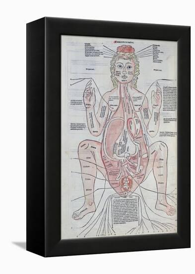 The Anatomy of the Pregnant Woman, Illustration from 'Fasciculus Medicinae' by Johannes De Ketham-Italian School-Framed Premier Image Canvas