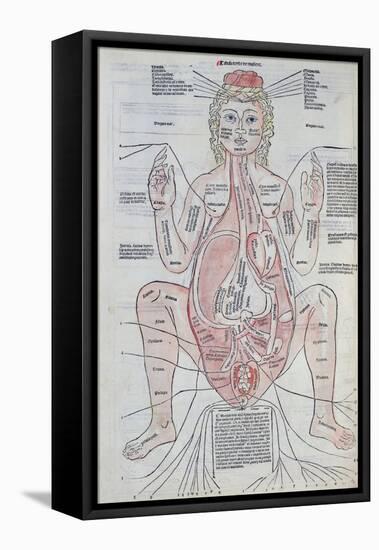 The Anatomy of the Pregnant Woman, Illustration from 'Fasciculus Medicinae' by Johannes De Ketham-Italian School-Framed Premier Image Canvas