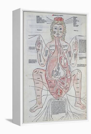 The Anatomy of the Pregnant Woman, Illustration from 'Fasciculus Medicinae' by Johannes De Ketham-Italian School-Framed Premier Image Canvas