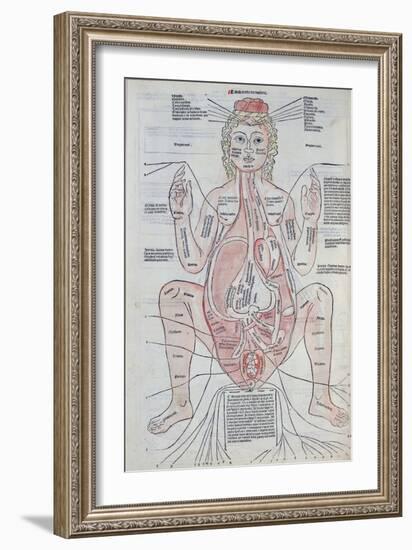 The Anatomy of the Pregnant Woman, Illustration from 'Fasciculus Medicinae' by Johannes De Ketham-Italian School-Framed Giclee Print