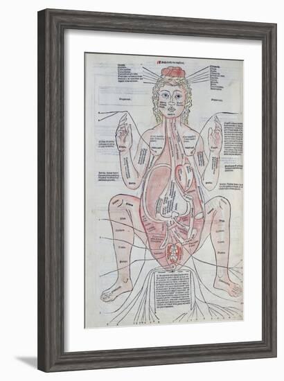 The Anatomy of the Pregnant Woman, Illustration from 'Fasciculus Medicinae' by Johannes De Ketham-Italian School-Framed Giclee Print