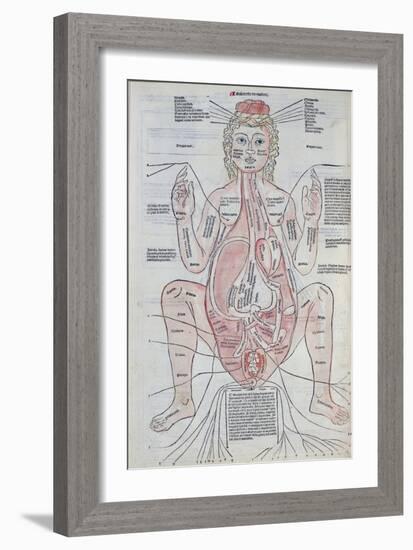 The Anatomy of the Pregnant Woman, Illustration from 'Fasciculus Medicinae' by Johannes De Ketham-Italian School-Framed Giclee Print