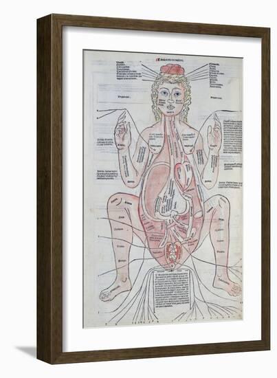 The Anatomy of the Pregnant Woman, Illustration from 'Fasciculus Medicinae' by Johannes De Ketham-Italian School-Framed Giclee Print