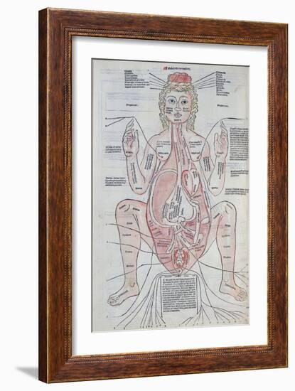 The Anatomy of the Pregnant Woman, Illustration from 'Fasciculus Medicinae' by Johannes De Ketham-Italian School-Framed Giclee Print