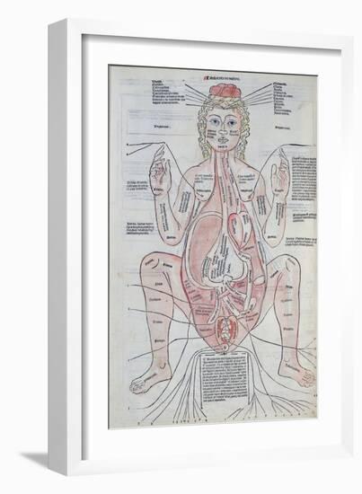 The Anatomy of the Pregnant Woman, Illustration from 'Fasciculus Medicinae' by Johannes De Ketham-Italian School-Framed Giclee Print