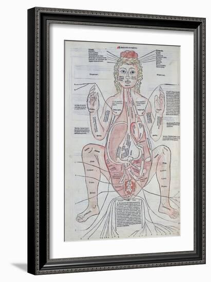 The Anatomy of the Pregnant Woman, Illustration from 'Fasciculus Medicinae' by Johannes De Ketham-Italian School-Framed Giclee Print