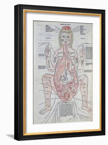 The Anatomy of the Pregnant Woman, Illustration from 'Fasciculus Medicinae' by Johannes De Ketham-Italian School-Framed Giclee Print