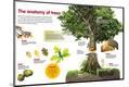 Premium Photographic Print