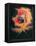 The Ancient of Days-William Blake-Framed Premier Image Canvas