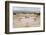 The ancient Roman amphitheatre in Caesarea, Israel, Middle East-Alexandre Rotenberg-Framed Photographic Print