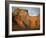 The Ancient Ruins of Great Zimbabwe, UNESCO World Heritage Site, Zimbabwe, Africa-Andrew Mcconnell-Framed Photographic Print