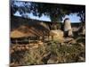 The Ancient Ruins of Great Zimbabwe, UNESCO World Heritage Site, Zimbabwe, Africa-Andrew Mcconnell-Mounted Photographic Print