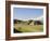 The Ancient Zapotec City of Monte Alban, Unesco World Heritage Site, Near Oaxaca City, Mexico-R H Productions-Framed Photographic Print