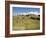 The Ancient Zapotec City of Monte Alban, Unesco World Heritage Site, Near Oaxaca City, Mexico-R H Productions-Framed Photographic Print