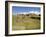 The Ancient Zapotec City of Monte Alban, Unesco World Heritage Site, Near Oaxaca City, Mexico-R H Productions-Framed Photographic Print