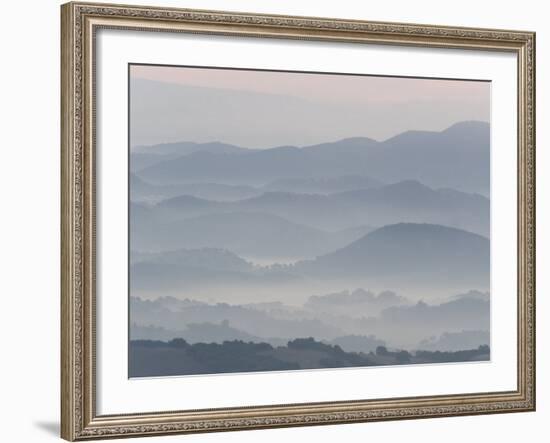 The Andalucian Campagna Near Montellano at Dawn, Andulacia, Spain, Febraury 2008-Niall Benvie-Framed Photographic Print