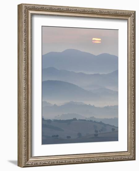 The Andalucian Campagna Near Montellano at Dawn, Andulacia, Spain, Febraury 2008-Niall Benvie-Framed Photographic Print