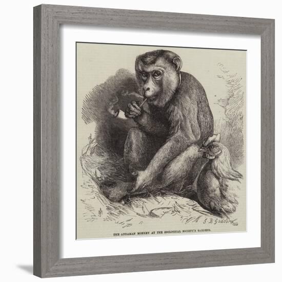 The Andaman Monkey at the Zoological Society's Gardens-George Bouverie Goddard-Framed Giclee Print