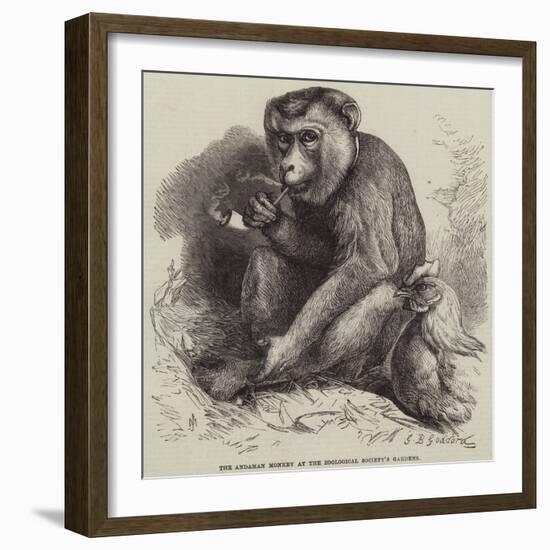 The Andaman Monkey at the Zoological Society's Gardens-George Bouverie Goddard-Framed Giclee Print