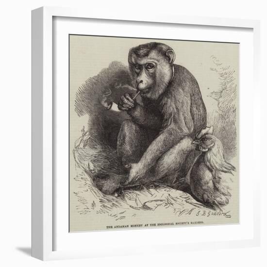 The Andaman Monkey at the Zoological Society's Gardens-George Bouverie Goddard-Framed Giclee Print