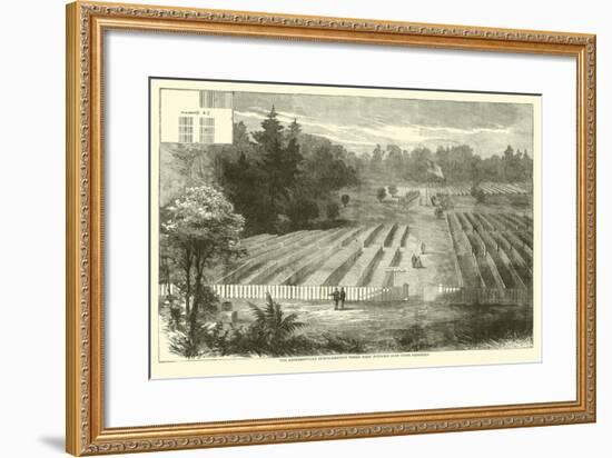 The Andersonville Burial-Grounds Where Were Interred 14,000 Union Prisoners, May 1865-null-Framed Giclee Print