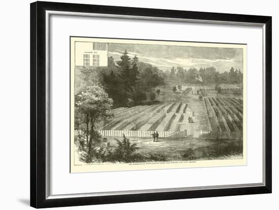 The Andersonville Burial-Grounds Where Were Interred 14,000 Union Prisoners, May 1865-null-Framed Giclee Print