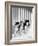 The Andrews Sisters-null-Framed Giclee Print