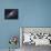 The Andromeda Galaxy-Stocktrek Images-Framed Premier Image Canvas displayed on a wall