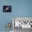 The Andromeda Galaxy-Stocktrek Images-Framed Premier Image Canvas displayed on a wall