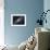 The Andromeda Galaxy-Stocktrek Images-Framed Photographic Print displayed on a wall