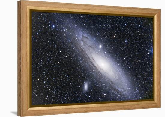 The Andromeda Galaxy-null-Framed Premier Image Canvas