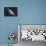 The Andromeda Galaxy-null-Framed Premier Image Canvas displayed on a wall