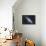 The Andromeda Galaxy-null-Framed Premier Image Canvas displayed on a wall