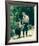 The Andy Griffith Show (1960)-null-Framed Photo