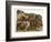 The Animals Emerge Two by Two from Noah's Ark-null-Framed Photographic Print