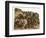 The Animals Emerge Two by Two from Noah's Ark-null-Framed Photographic Print