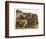 The Animals Emerge Two by Two from Noah's Ark-null-Framed Photographic Print