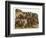 The Animals Emerge Two by Two from Noah's Ark-null-Framed Photographic Print