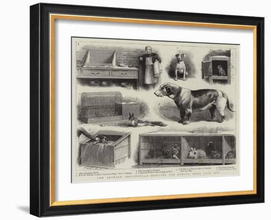 The Animals' Institute, a Hospital for Horses, Dogs, Cats, Etc-null-Framed Giclee Print