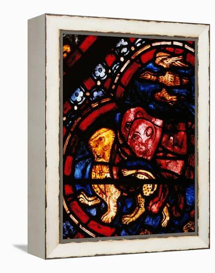 The Animals Leaving Noah's Ark, Stained Glass-null-Framed Premier Image Canvas