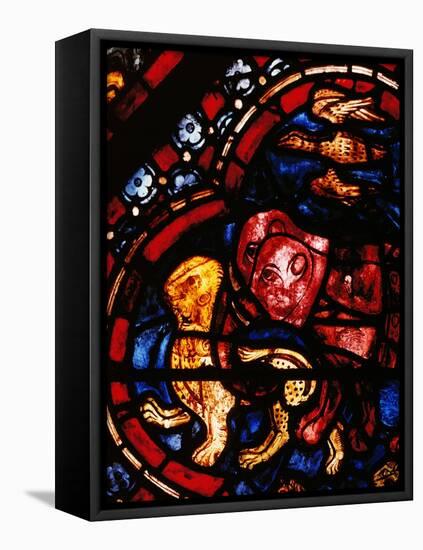 The Animals Leaving Noah's Ark, Stained Glass-null-Framed Premier Image Canvas