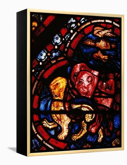 The Animals Leaving Noah's Ark, Stained Glass-null-Framed Premier Image Canvas