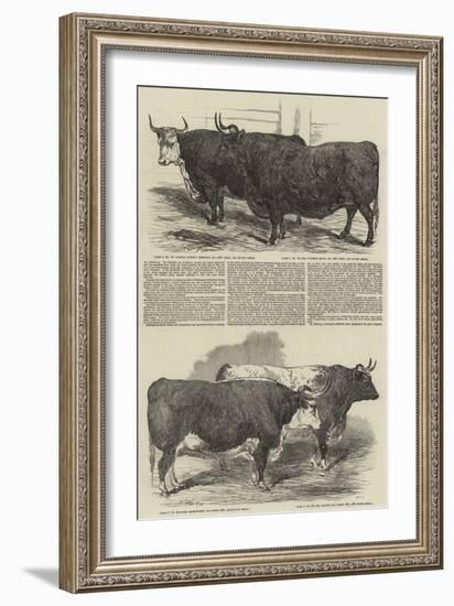 The Annual Exhibition of the Smithfield Club-Harrison William Weir-Framed Giclee Print