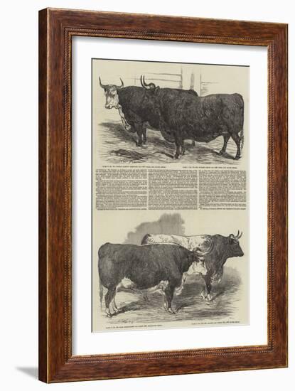 The Annual Exhibition of the Smithfield Club-Harrison William Weir-Framed Giclee Print