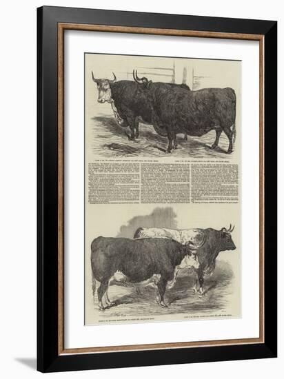 The Annual Exhibition of the Smithfield Club-Harrison William Weir-Framed Giclee Print