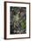 The Annunciation, 1570-1573-El Greco-Framed Giclee Print