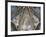 The Annunciation and Angels-null-Framed Giclee Print