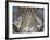 The Annunciation and Angels-null-Framed Giclee Print